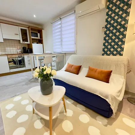Grand Confortable Au Coeur De * Cannes